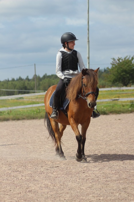 Stallregler & rutiner